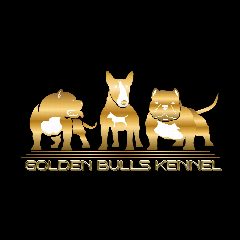 Канал ⚜️Golden Bulls Kennel⚜️ Американский Булли, Миниатюрный Бультерьр в мессенджере MAX — 120 подписчиков