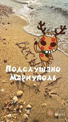 Канал Подслушано Мариуполь ДНР в мессенджере MAX — 744 подписчика