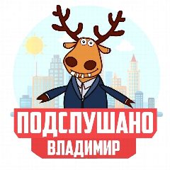 Канал Подслушано во Владимире в мессенджере MAX — 4 143 подписчика
