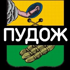 Канал ✅ Подслушано в Пудоже | Карелия в мессенджере MAX — 1 990 подписчиков