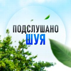 Канал Подслушано Шуя в мессенджере MAX — 1 797 подписчиков