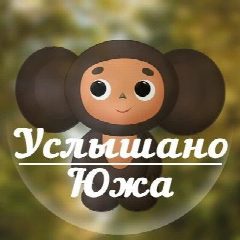 Канал Услышано Южа в мессенджере MAX — 872 подписчика