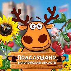 Канал Подслушано Запорожская область в мессенджере MAX — 977 подписчиков