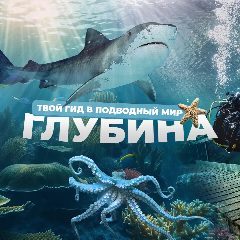 Канал Глубина в мессенджере MAX — 456 подписчиков
