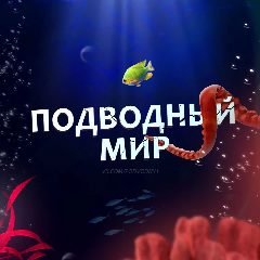 Канал Подводный мир l Океан l Море в мессенджере MAX — 326 подписчиков