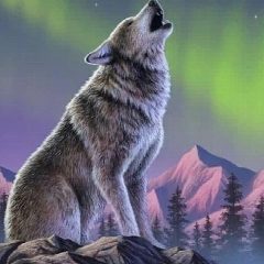 Канал Полярный дозор в мессенджере MAX — 1 586 подписчиков