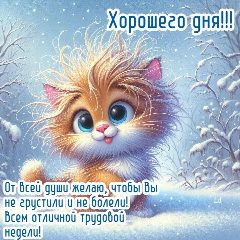Канал Рай открыток | Открытки на каждый день в мессенджере MAX — 3 866 подписчиков
