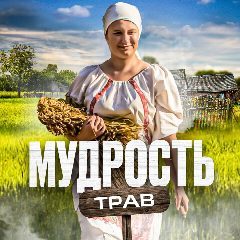 Канал Мудрость трав в мессенджере MAX — 411 подписчиков