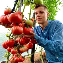 Канал Помидорный рай с Борисом Сониным в мессенджере MAX — 2 268 подписчиков