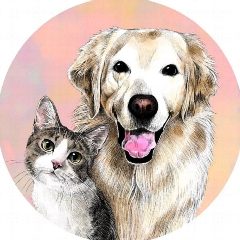 Канал Хвостики 🐶 в мессенджере MAX — 6 652 подписчика