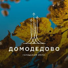 Канал Администрация городского округа Домодедово в мессенджере MAX — 2 630 подписчиков
