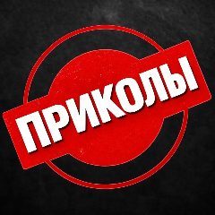 Канал ВИДЕО в мессенджере MAX — 5 409 подписчиков