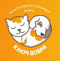 Канал Ключ добра - фонд помощи животным, Горячий ключ в мессенджере MAX — 201 подписчик
