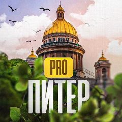 Канал Pro Питер в мессенджере MAX — 16 957 подписчиков