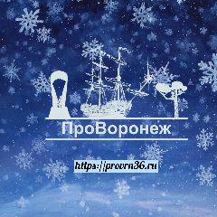 Канал Про Воронеж (Новости Воронежа и области) в мессенджере MAX — 580 подписчиков