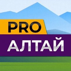Канал PROАлтай в мессенджере MAX — 66 подписчиков
