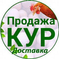 Канал Продажа и доставка Кур-несушек | Куры76.рф в мессенджере MAX — 686 подписчиков