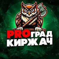 Канал PRO Град КИРЖАЧ в мессенджере MAX — 9 824 подписчика