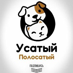 Канал Усатый Полосатый | собаки | кошки | животные | юмор | приколы в мессенджере MAX — 1 054 подписчика