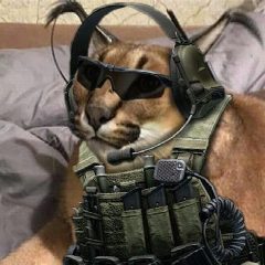 Канал Пабг | PUBG Мемы в мессенджере MAX — 3 296 подписчиков