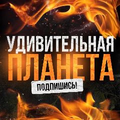 Канал Удивительная планета в мессенджере MAX — 949 подписчиков
