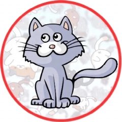 Канал Без Кота жизнь не та в мессенджере MAX — 1 410 подписчиков