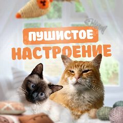 Канал Пушистое настроение | Котики в мессенджере MAX — 226 подписчиков