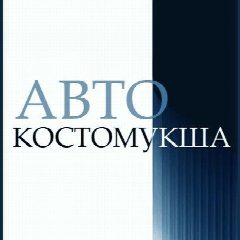 Канал Авто Костомукша в мессенджере MAX — 142 подписчика