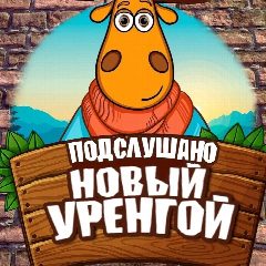Канал Подслушано Новый Уренгой в мессенджере MAX — 1 888 подписчиков