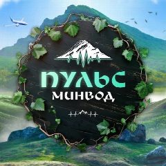 Канал Пульс Минеральных Вод в мессенджере MAX — 8 260 подписчиков
