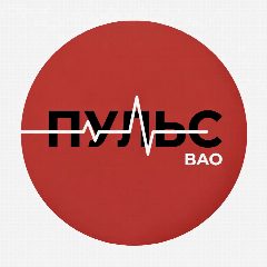 Канал ПУЛЬС ВАО Москва | Новости | Люди | Помощь в мессенджере MAX — 179 подписчиков