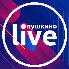 Канал Пушкино Live в мессенджере MAX — 2 569 подписчиков