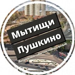 Канал Подслушано Пушкино и Мытищи в мессенджере MAX — 532 подписчика