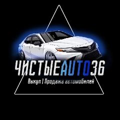 Канал Чистые Авто 36 в мессенджере MAX — 527 подписчиков