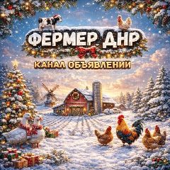 Канал ФЕРМЕР ДНР в мессенджере MAX — 1 334 подписчика