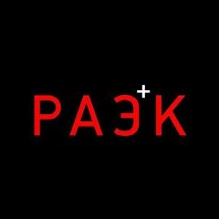 Канал РАЭК в мессенджере MAX — 46 подписчиков