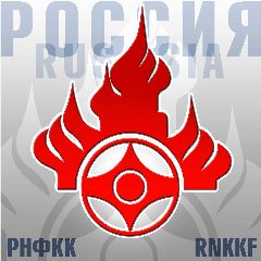 Канал РНФКК - Организация Каратэ Киокушинкай в России в мессенджере MAX — 1 275 подписчиков