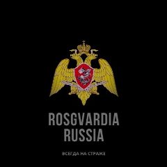 Канал ROSGVARDIA_RUSSIA в мессенджере MAX — 544 подписчика