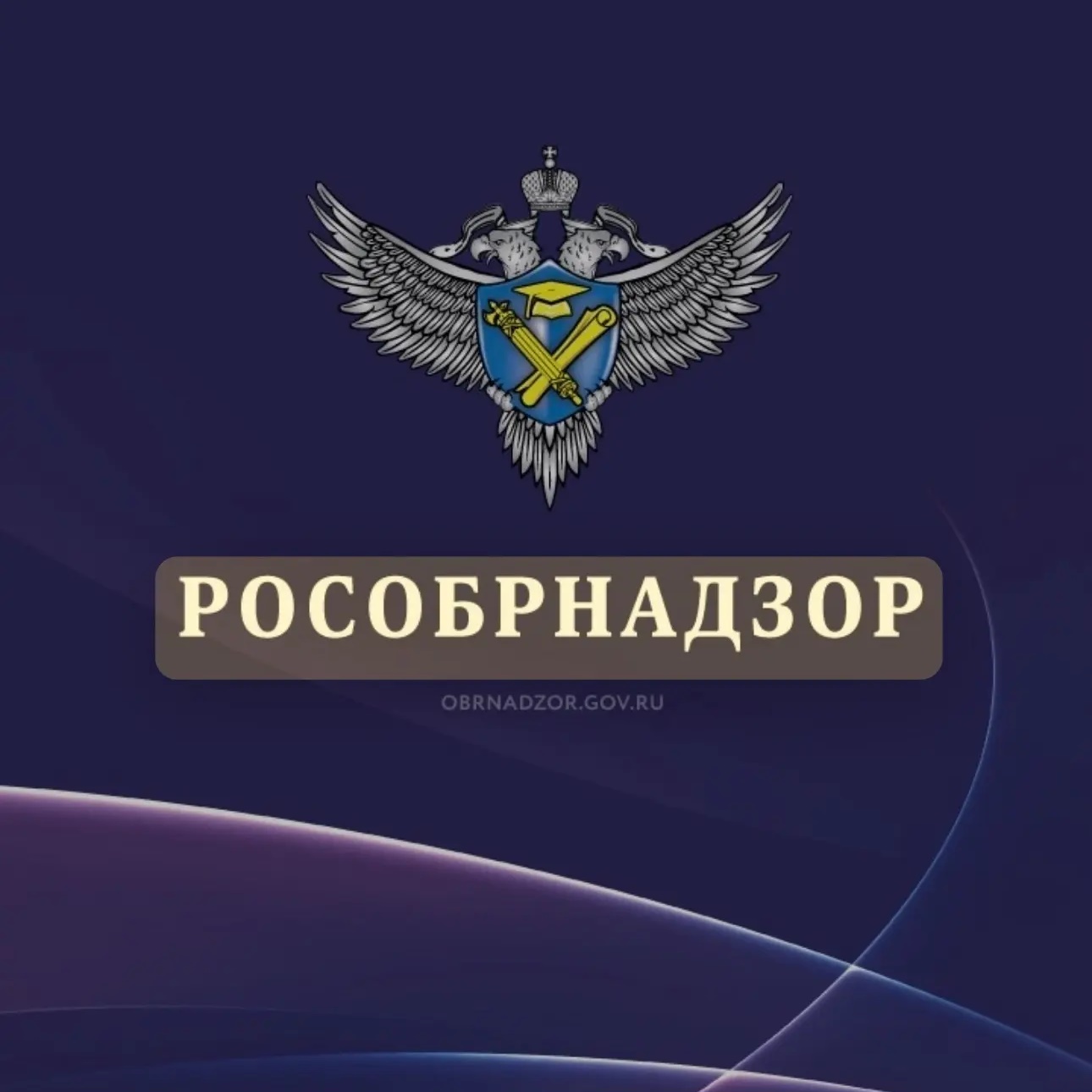 Канал Рособрнадзор в мессенджере MAX — 6 900 подписчиков