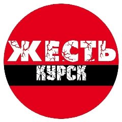 Канал Жесть Курск в мессенджере MAX — 8 735 подписчиков