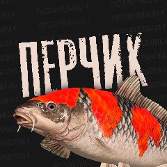 Канал Перчик РР4 - Русская Рыбалка 4 в мессенджере MAX — 4 837 подписчиков