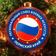Канал РСБИ Пермский край в мессенджере MAX — 101 подписчик