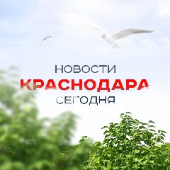 Канал ЧП Краснодар, новости Кубань, происшествия, подслушано жесть, ДТП в мессенджере MAX — 974 подписчика