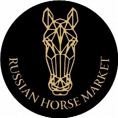 Канал RUSSIAN HORSE MARKET в мессенджере MAX — 896 подписчиков