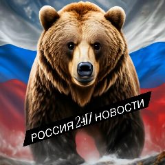 Канал РОССИЯ 24/7 НОВОСТИ в мессенджере MAX — 10 647 подписчиков
