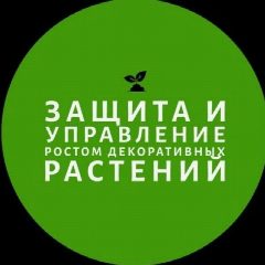 Канал Защита и управление ростом декоративных растений в мессенджере MAX — 703 подписчика