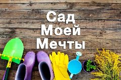 Канал Сад моей мечты. Дача, огород, советы. в мессенджере MAX — 1 443 подписчика