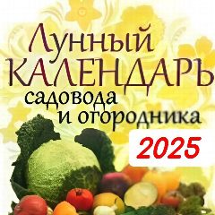 Канал Следите за фазами Луны в мессенджере MAX — 1 079 подписчиков