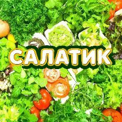 Канал САЛАТИК в мессенджере MAX — 1 194 подписчика