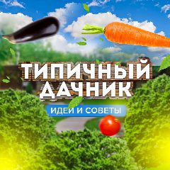 Канал Типичный дачник | Идеи и советы в мессенджере MAX — 22 подписчика